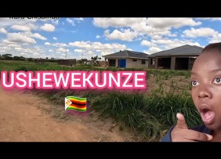 Reviving The Environment In Ushewekunze A Beacon Of Hope