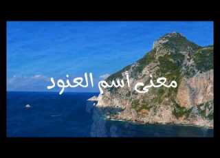  معنى أسم العنود Alanood