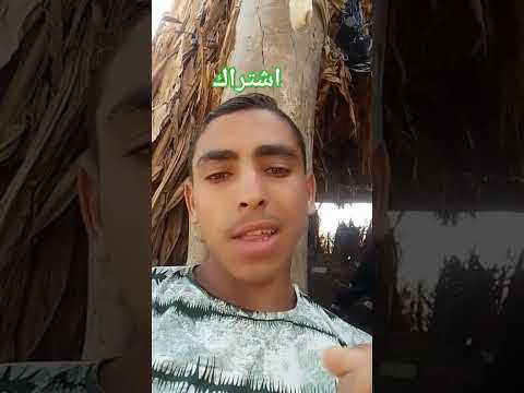 وانتى عارفه انى أنا ميت عليكى