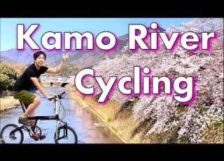 Kyoto S Best Cycling In Cherry Blossom Season