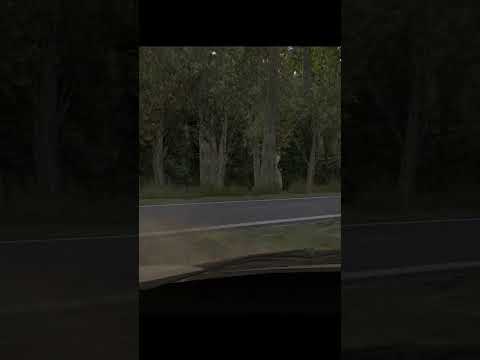 Brake BRAke BRAKE WRC Rally Evolved Brake BRAke BRAKE WRC Rally Evolved