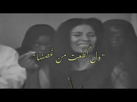 ورده سكيتها من دمع اليعون حكيم محمد