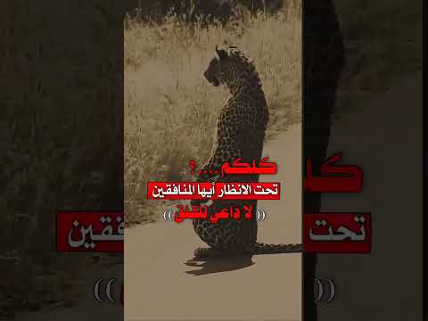 كلكم تحت الانظار