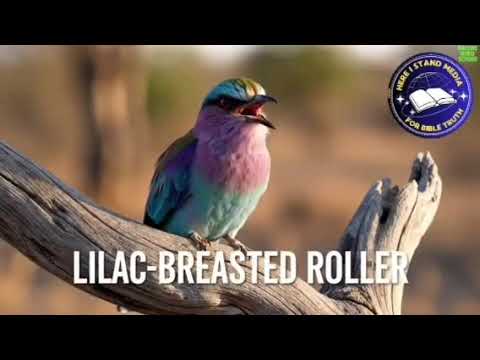 Galata Galani Gudaan Siif Haadhiyatu Faarfattoota Woldaa Naayrobi