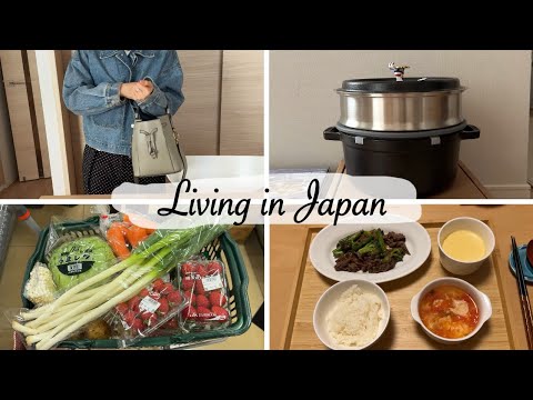 Lunch With Friends New Steamer Fill Up My Veggies Box Housewife Daily