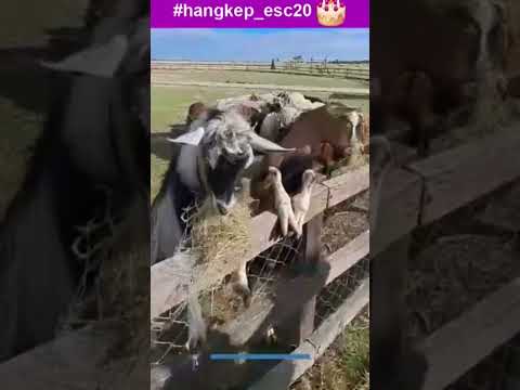 Empowered By Nature 2026 373