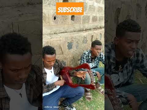 Gashaw Adal Collelbey