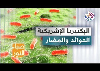 البكتيريا الإشريكية القولونية الفوائد والمضار