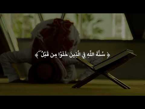 ملعونين أينما ثقفوا أخذوا وقتلوا تقتيلا ملعونين أينما ثقفوا أخذوا وقتلوا تقتيلا