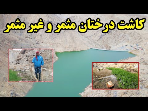 آغاز بارندگی عالی در صد و هفدهمین روز آبگیری بند همبستگی سنگجوی لومان