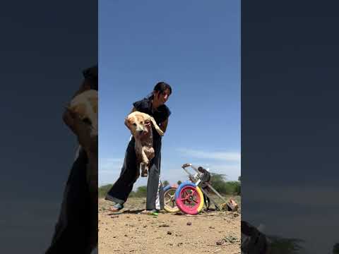 Langdu Queen Of MAF Helpstrays