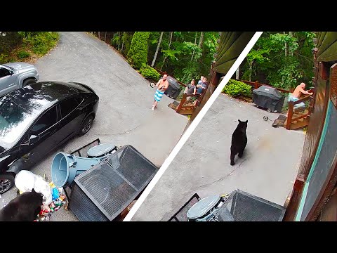 2025 TikTok Rewind Most Viral Funny Videos Of The Year