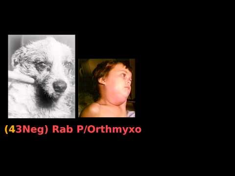 Virus Rap Microbiology Mnemonic For DNA RNA Viral Structures