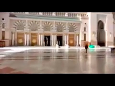 صفه لي يا من رأيت الحب ليلا المنشد محمود الحمود