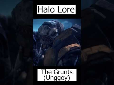 Grunts Explained Unggoy Halo Lore