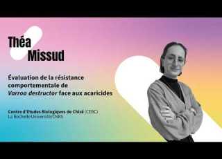 Ma Thèse En 180 Secondes 2026 Théa Missud