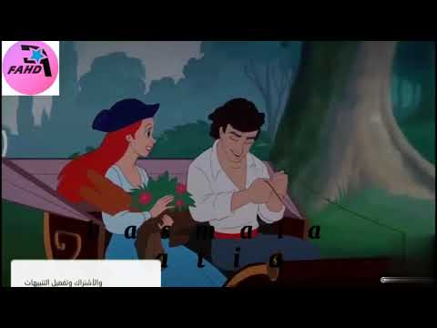 اغنيه رومانسيه تامر حسني قولني كلام اول مره اقوله اغنيه رومانسيه تامر حسني قولني كلام اول مره اقوله