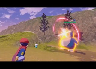  When Your Pokemon Literally Dies