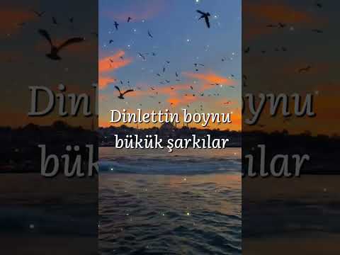 Edis Martılar Music Edit Song Lyrics