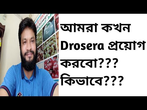 আমর কখন Drosera প রয গ করব ক ভ ব Go Back Theory আমর কখন Drosera প রয গ করব ক ভ ব Go Back Theory