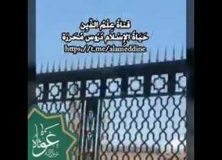 محمد اشرف العرب والعجم محمد خير من يمشي على قدم صلوا عليه