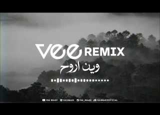  ميني م وين اروح Vee Remix
