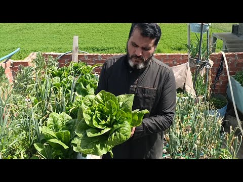 مين قال الزراعة محتاجة أرض