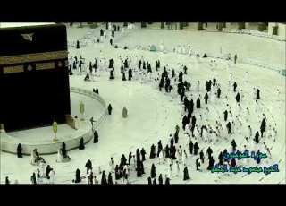 سورة المؤمنون الشيخ محمود عبد الحكم