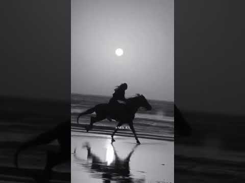 خيالا أنا خيال الشامي Trending Shorts Short Subscribe Song Explore Support Love