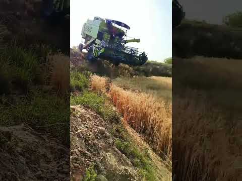 Campaign Dhan Katene Wala Punjabi Munda Campainvideo Treandingcaimpan 4kofficalvlogs