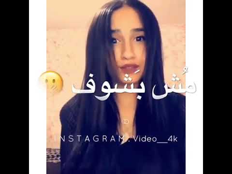 اغنيه شقلطوني في بحر بيره