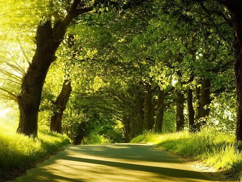 Psalm 147 Shabah Ourichlem L Moryo شاباح أوريشلم لموريو