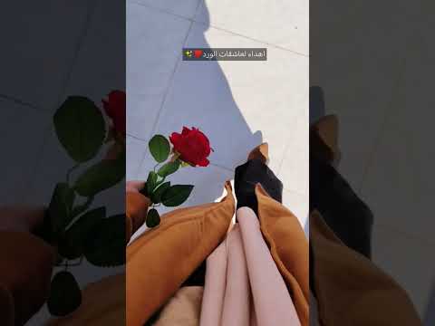 ايتها الوردة والياقوتة وردة جوري ورد كاظم الساهر شتاء اكسبلور الشعب الصيني ماله حل