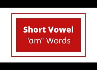 Am Word Family Words CVC Short Vowel 3 Letter Words Phonics Reading