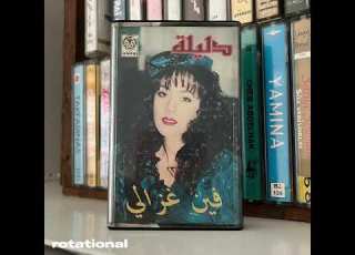  دليلة فين غزالي Moroccan House 199