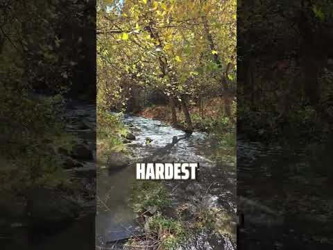 Er Entließ 18 Seiner Kunden