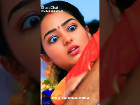 Romantic Love Celebrity Instagram Reels Status