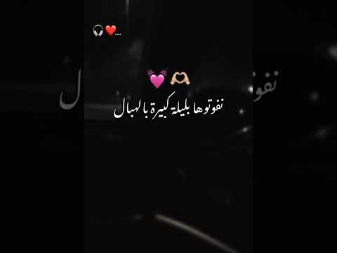 تحلالي معاك السهرة عمري نورمال شـــــاشة سوداء تصميم فيديوهات RAY الشعب الصيني ماله حل