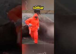  Whale Explodes On The Beach