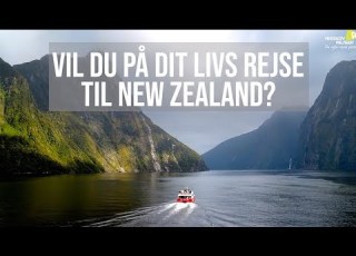  Få Dit Livs Rejse Til New Zealand Med Risskov Rejser Vi Har Over 25 års Erfaring