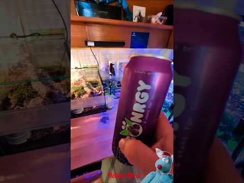 Den Ersten GÖNRGY Vergisst Du Nie Funnyvideos Prank