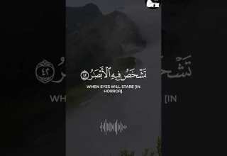 ولا تحسبن الله غافلا عما يعمل الظالمون فارس عباد القرآن الكريم