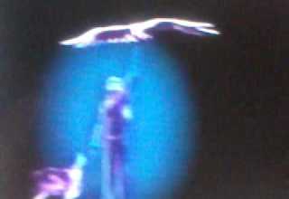 Knightscove Famliy Films Logo