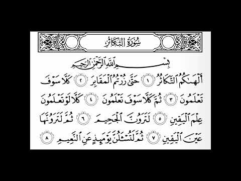 سورة التكاثر المنشاوي