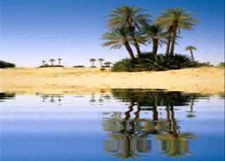  حبيت عشانك لا التاج مكى