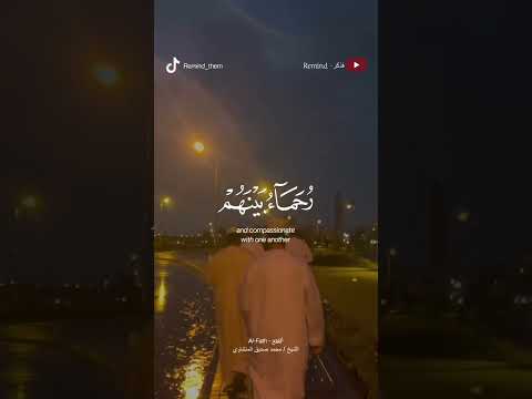 محمد رسول الله و الذين امنوا معه الشيخ محمد صديق المنشاوي Quran قرآن المنشاوي محمد رسول الله و الذين امنوا معه الشيخ محمد صديق المنشاوي Quran قرآن المنشاوي