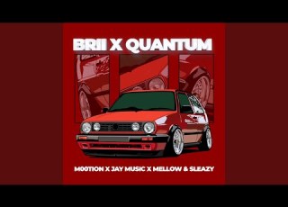 Brii X Quantum