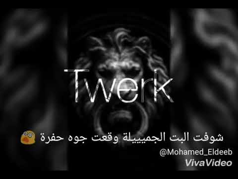 مهرجان شارب شوالين تكيله والدماغ مساافرة