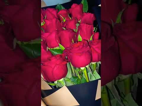 جابلى ورد جاب بوكيه