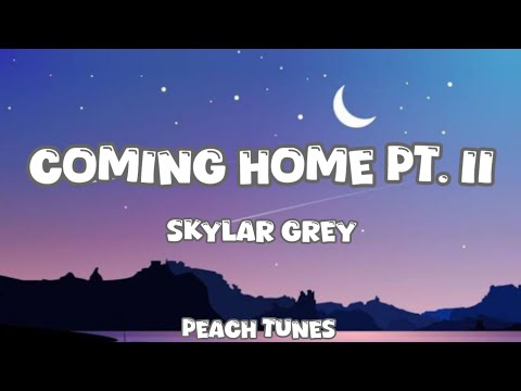 Skylar Grey Coming Home Pt II Lyrics